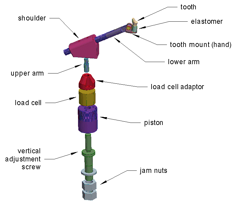 Orthodontic Tester